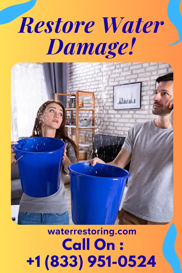 water restoration Prestige Sewage Cleanup Contractors Monte Alto